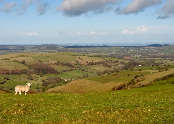 Penbedw Uchaf Estate - Rural Retreats, Tennis