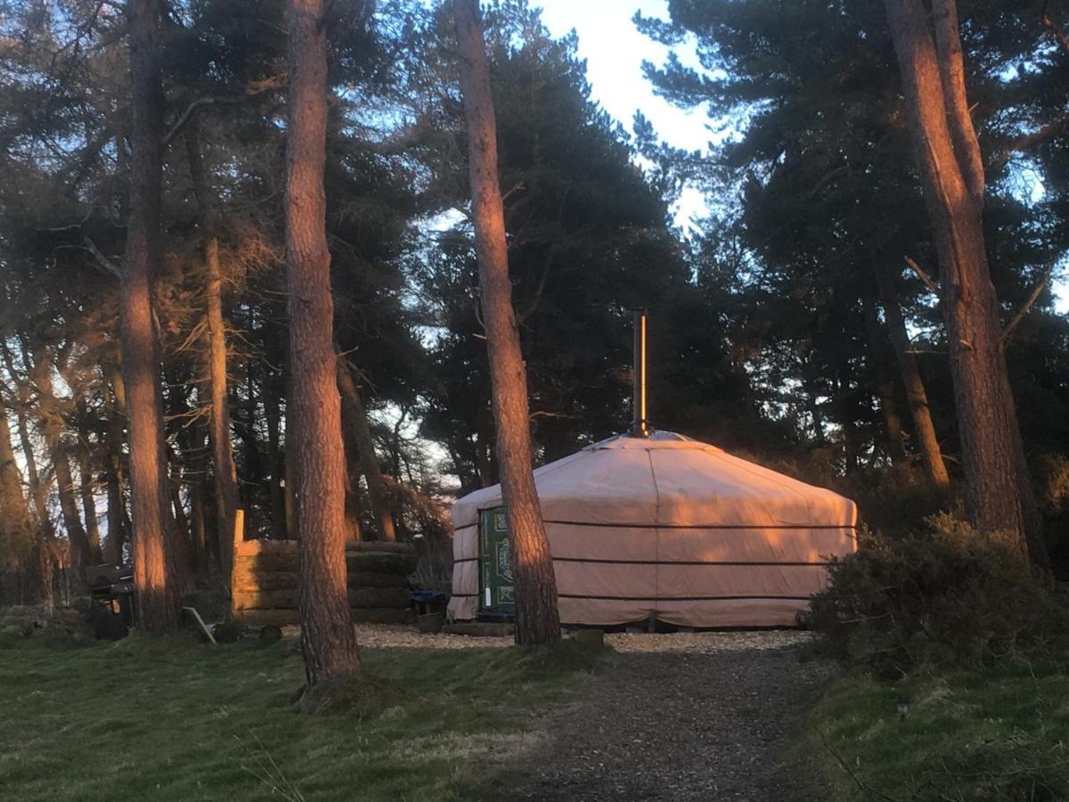 Campo de lujo Penbedw Uchaf Estate - Rural Retreats, Tennis Mold