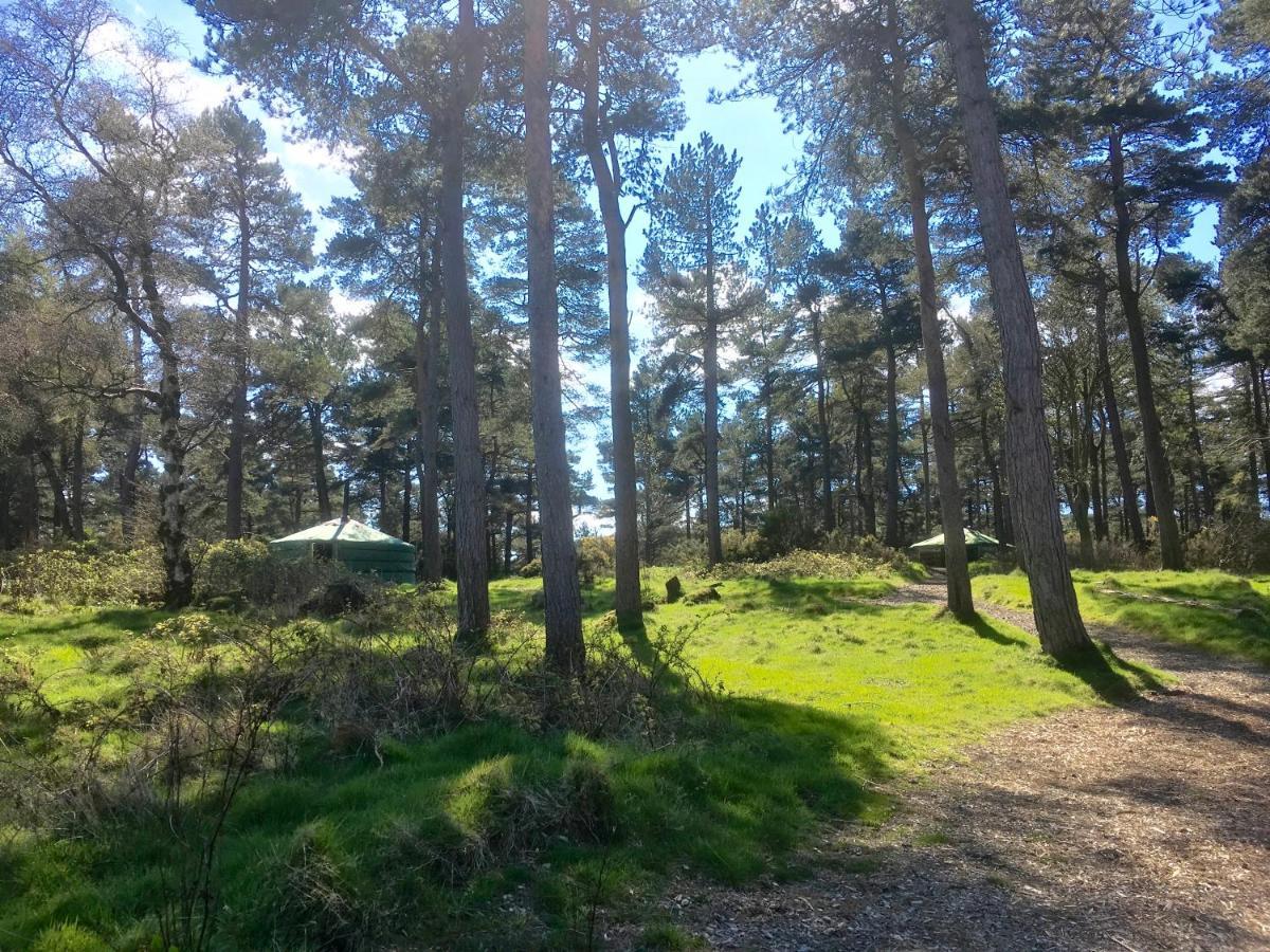 Penbedw Uchaf Estate - Rural Retreats, Tennis Mold