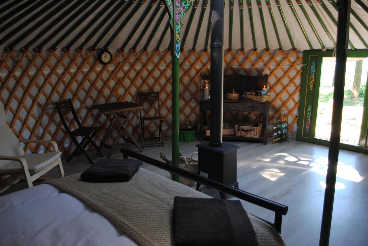 Penbedw Uchaf Estate - Rural Retreats, Tennis