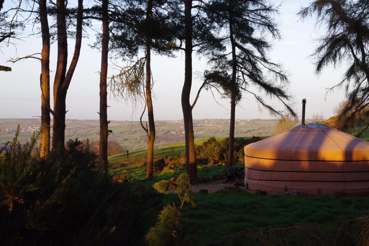 Penbedw Uchaf Estate - Rural Retreats, Tennis Mold