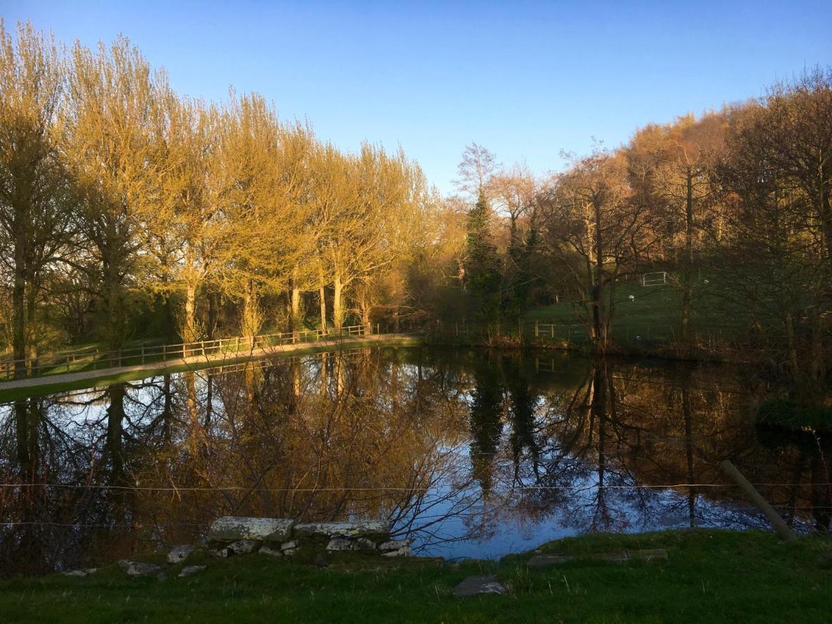 Penbedw Uchaf Estate - Rural Retreats, Tennis *