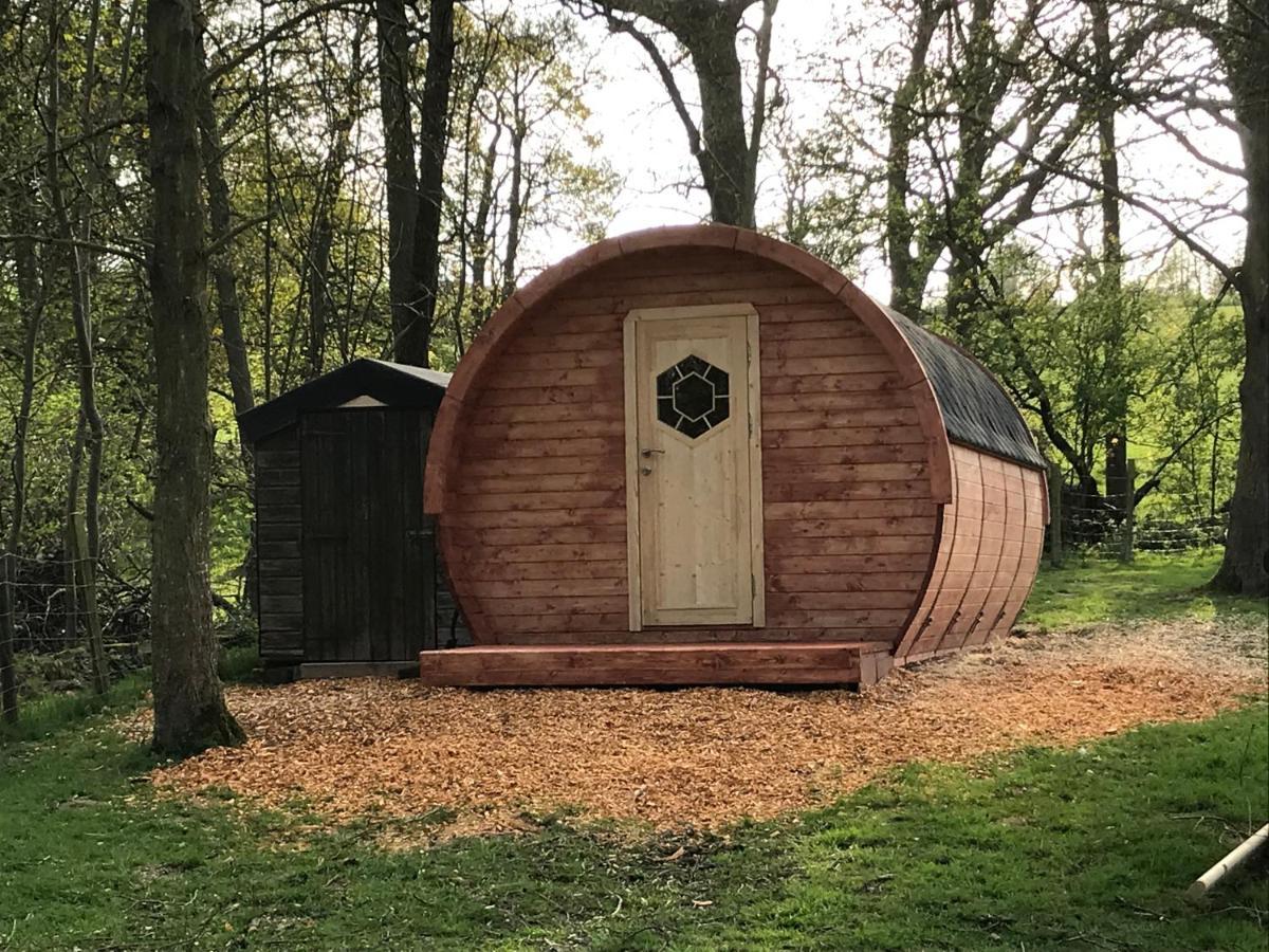 Campo de lujo Penbedw Uchaf Estate - Rural Retreats, Tennis *