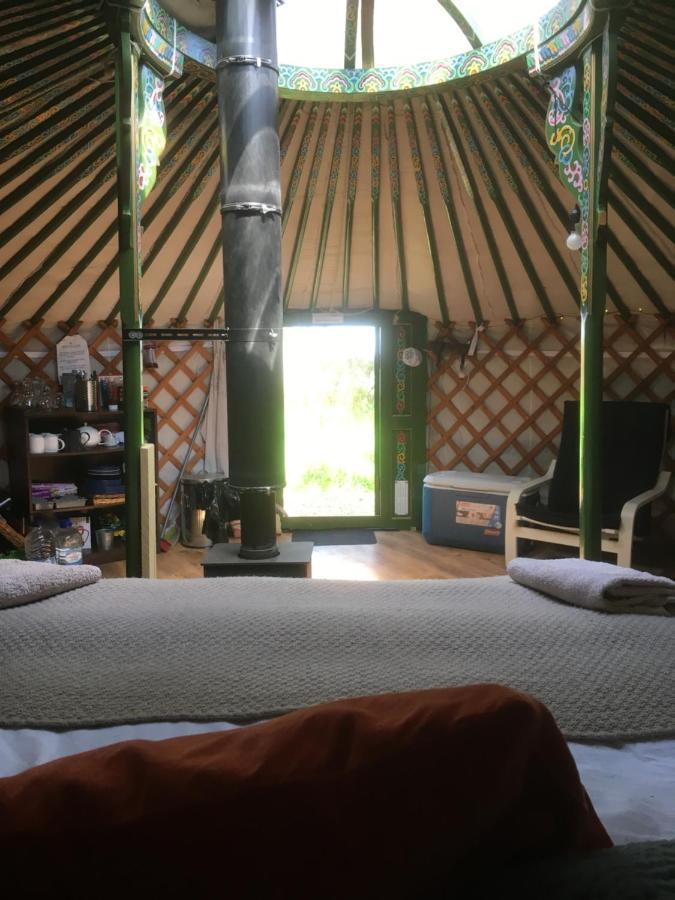Penbedw Uchaf Estate - Rural Retreats, Tennis Mold