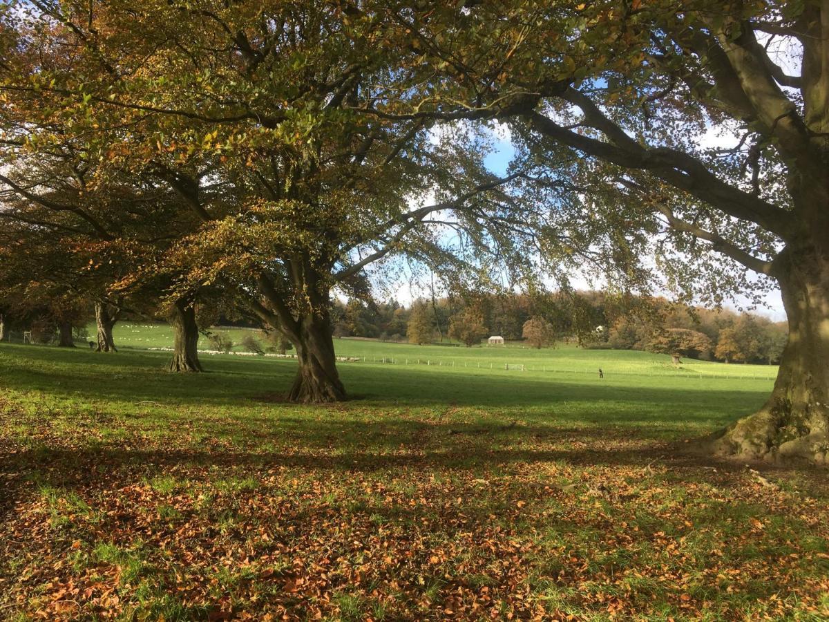 Campo de lujo Penbedw Uchaf Estate - Rural Retreats, Tennis Mold