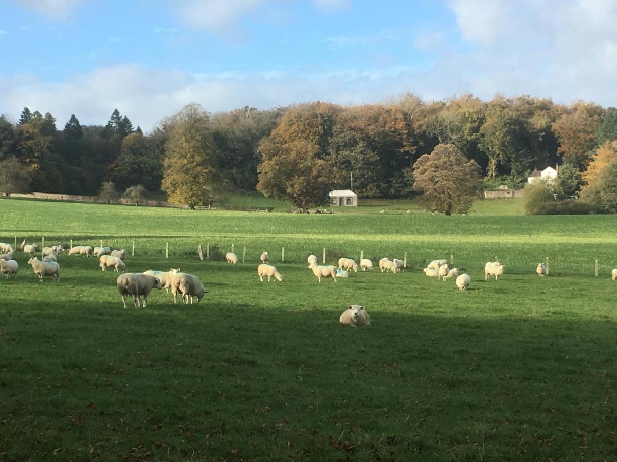Penbedw Uchaf Estate - Rural Retreats, Tennis Mold